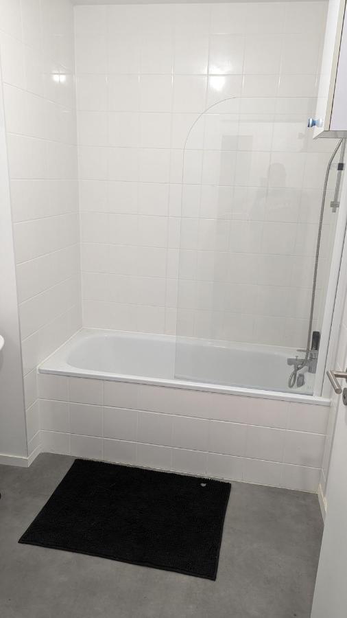 Chambre Dans Appartement Pres Du Roazhon Park 雷恩 外观 照片